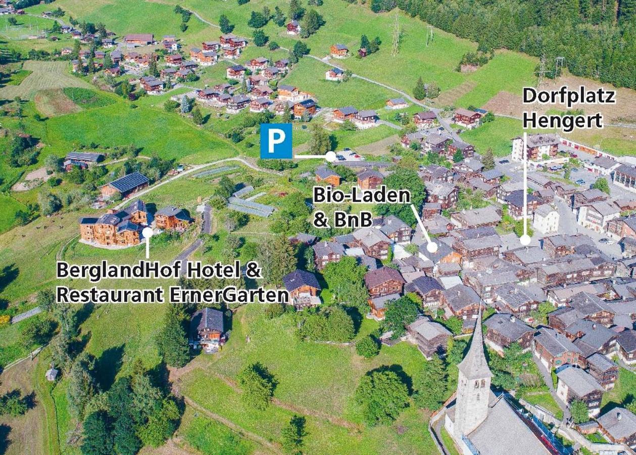 Berglandhof Hotel Ernen Eksteriør bilde